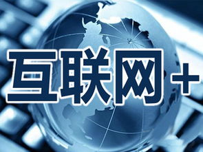 企業軟件的“偽互聯”虛火與“真互聯”實需——以健康咨詢為例